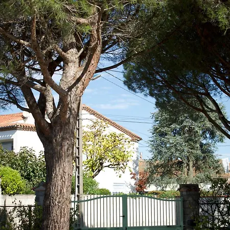 Lv House & Gardens Apartment